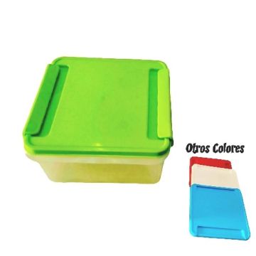  CONTENEDOR PL COL SURT 2 L.   M/VIDAL