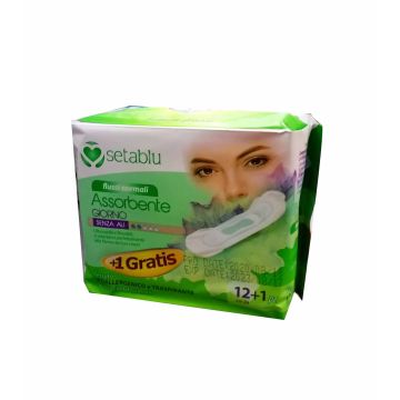 ALMOHADILLAS SANITARIAS DIA 121PZ 24CM   M/SETABLU